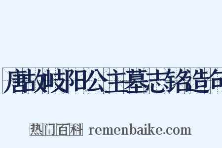 唐故岐阳公主墓志铭造句是什么意思的图片